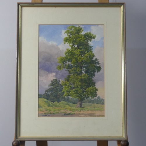 161 - Alexander Josef Kostka (AUSTRIAN, 1879-1961), watercolour of an oak tree, signed lower left and date... 