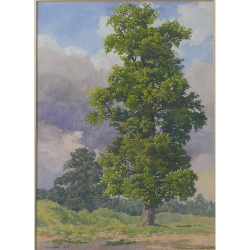 161 - Alexander Josef Kostka (AUSTRIAN, 1879-1961), watercolour of an oak tree, signed lower left and date... 