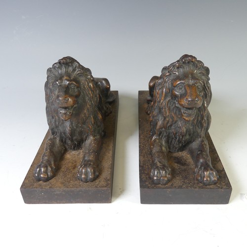 556 - A pair of antique cast metal Fire Dogs, modelled as recumbent Lions, raised on plinth base, W 10cm x... 