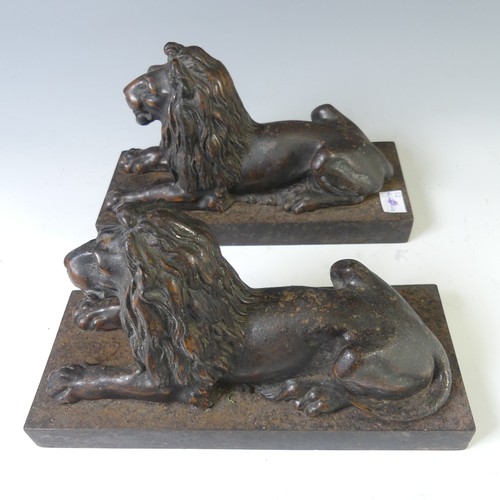 556 - A pair of antique cast metal Fire Dogs, modelled as recumbent Lions, raised on plinth base, W 10cm x... 