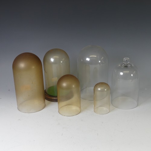 384 - A quantity of clear glass taxidermy/clock domes, to include a bell top example with various others, ... 