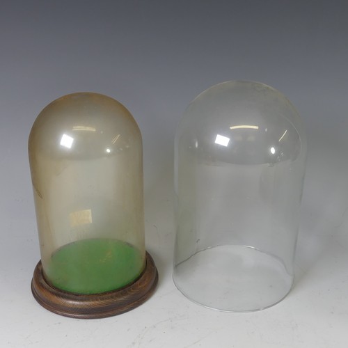 384 - A quantity of clear glass taxidermy/clock domes, to include a bell top example with various others, ... 