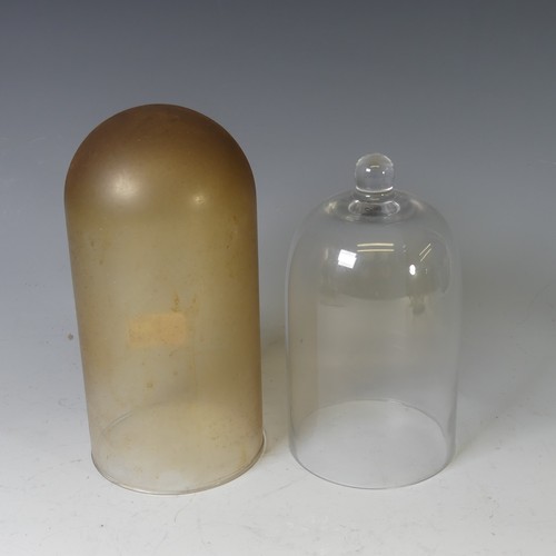 384 - A quantity of clear glass taxidermy/clock domes, to include a bell top example with various others, ... 