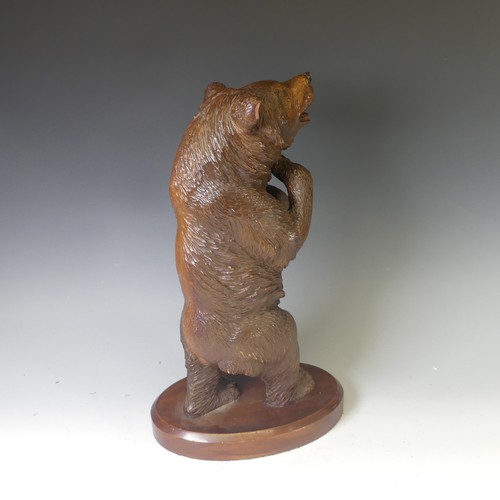 551 - An early 20thC Black Forest carved wooden Standing Bear, naturistically carved with glass eyes, moun... 