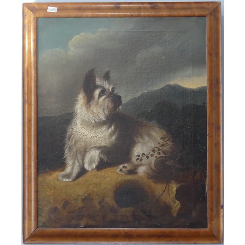 207 - Manner of George Armfield (British, 1808-1893), Terrier in a highland landscape, oil on canvas, 50.5... 