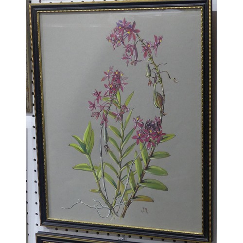 222 - 20th century school, three decorative floral watercolour paintings, signed 