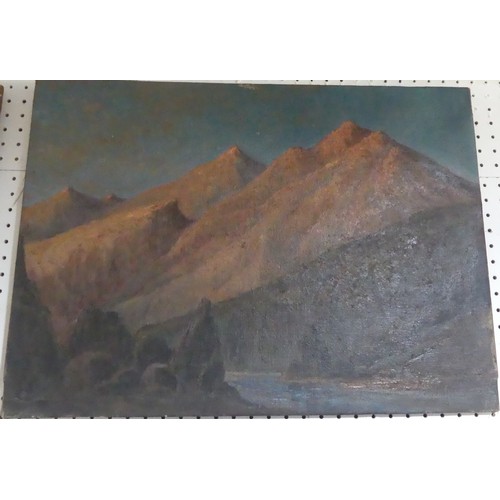 228 - A. Bendelack (Continental School, 20th century), Bolivian mountain landscape, oil on canvas, unframe... 