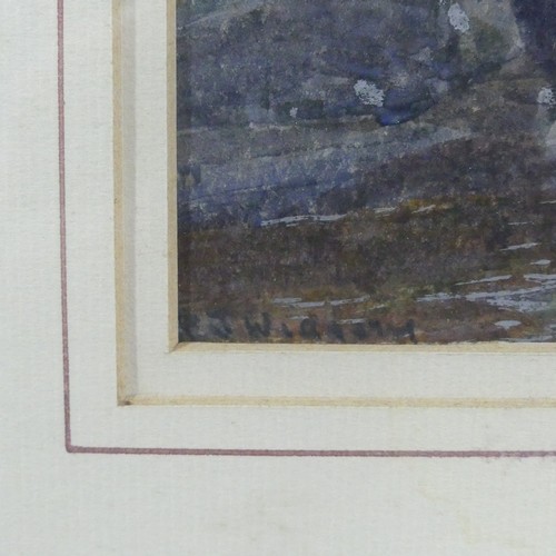 215 - Frederick John Widgery (British, 1861-1942), Okehampton, watercolour, signed, 22cm x 33cm, framed.... 