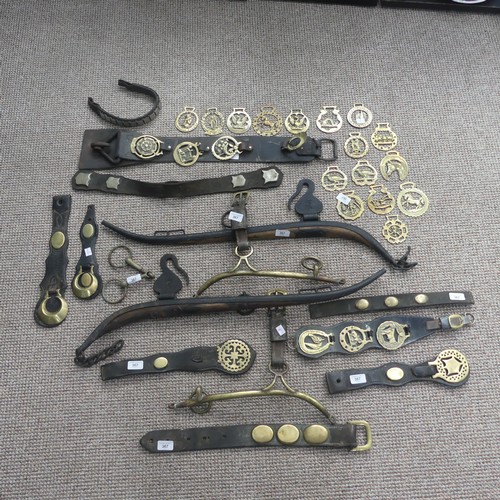 367 - A quantity of Victorian Martingales, together with loose horse brasses, name plates, cast iron and w... 