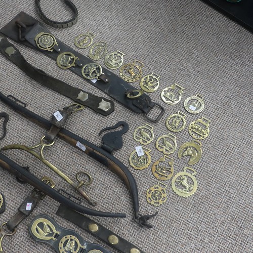 367 - A quantity of Victorian Martingales, together with loose horse brasses, name plates, cast iron and w... 