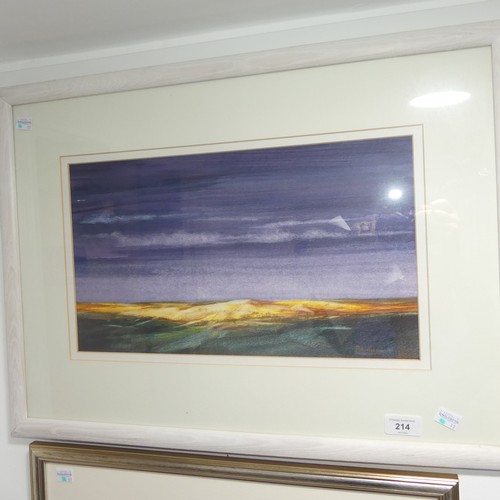 214 - Robin Wiggins (British, 20thC/21stC): Coastal landscape, watercolour, signed, 20cm x 34cm, framed, t... 