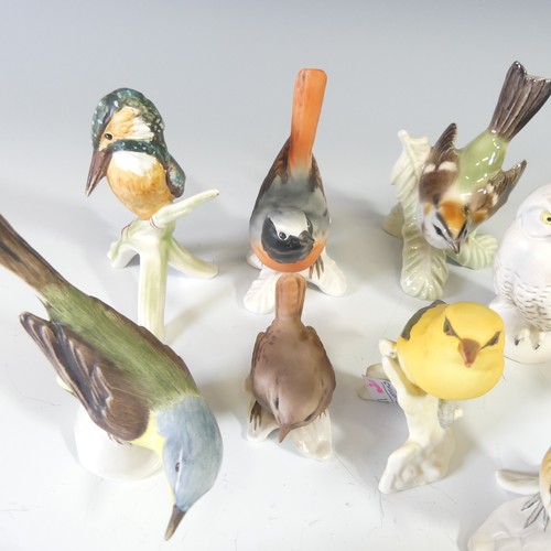 496 - A quantity of Goebel porcelain Birds, to include Bullfinch, Kingfisher, Yellow Wagtail, White Wagtai... 