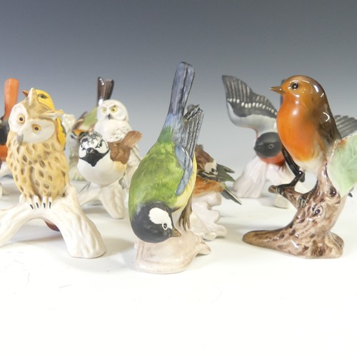 496 - A quantity of Goebel porcelain Birds, to include Bullfinch, Kingfisher, Yellow Wagtail, White Wagtai... 