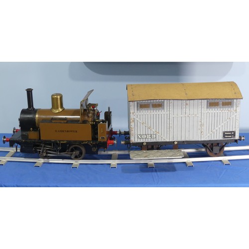 247 - A 5in gauge live steam 0-4-0 LBSC Tich Tank Locomotive, 'Maidenbower', well engineered, with maker's... 