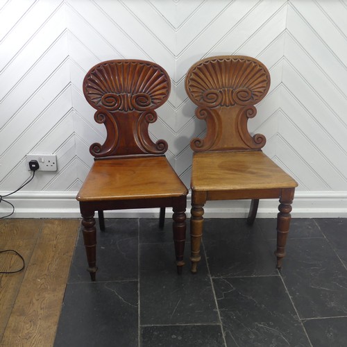 A pair of 19thC mahogany shell back Hall Chairs, W 45cm x H 86cm x D 45cm, one with legs slightly reduced (2)