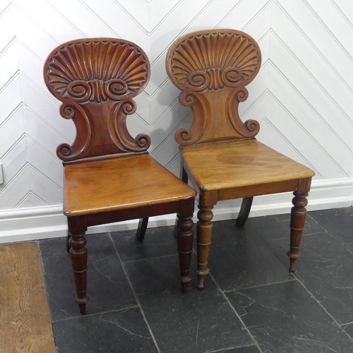 291 - A pair of 19thC mahogany shell back Hall Chairs, W 45cm x H 86cm x D 45cm, one with legs slightly re... 