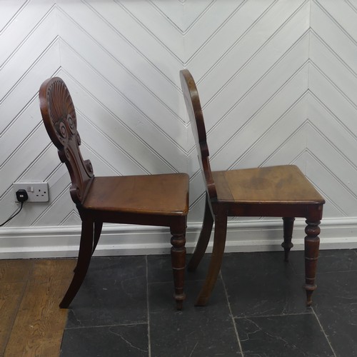 291 - A pair of 19thC mahogany shell back Hall Chairs, W 45cm x H 86cm x D 45cm, one with legs slightly re... 