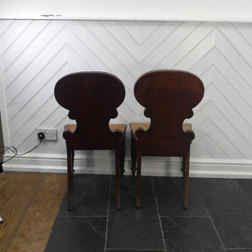 291 - A pair of 19thC mahogany shell back Hall Chairs, W 45cm x H 86cm x D 45cm, one with legs slightly re... 