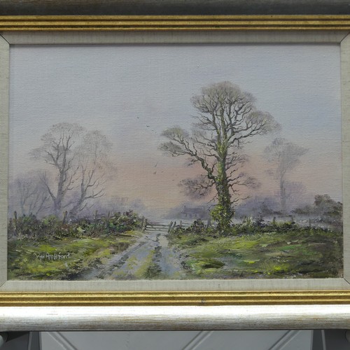 213 - Wyn Appleford (British, 1932-2020), Farm track in a wooded landscape, oil on canvas, signed lower le... 