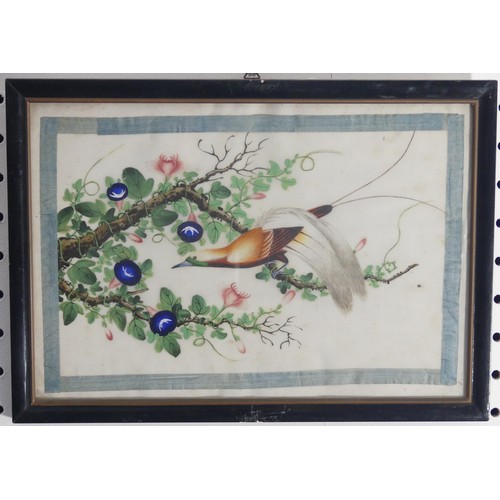 135 - A set of four Chinese Export paintings of Birds, Qing Dynasty, 19th century, on pith paper, each ima... 