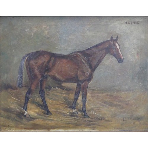 228 - May Burton (British, 1901-1995, 'Mousmee' and 'Ulster.IV', pair of horse portraits, oil on canvas, s... 