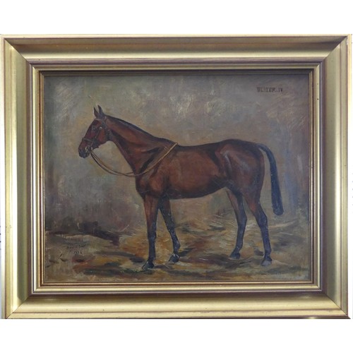 228 - May Burton (British, 1901-1995, 'Mousmee' and 'Ulster.IV', pair of horse portraits, oil on canvas, s... 