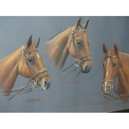 243 - Elizabeth Ritson, pastel on paper, horse subjects, signed and dated 1981, 45cm x 68cm, together with... 