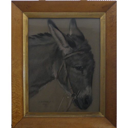 246 - Frank William Wilkin (British, 1791-1842), Head of a Donkey, charcoal and coloured chalks on grey pa... 