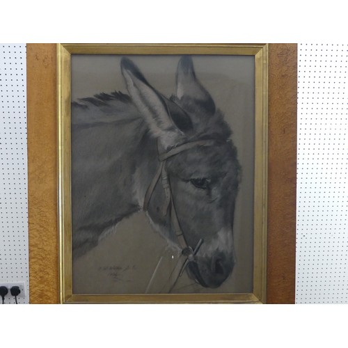 246 - Frank William Wilkin (British, 1791-1842), Head of a Donkey, charcoal and coloured chalks on grey pa... 