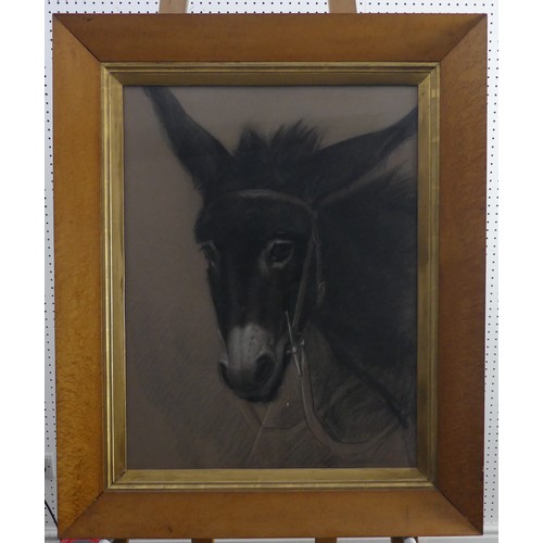 246 - Frank William Wilkin (British, 1791-1842), Head of a Donkey, charcoal and coloured chalks on grey pa... 