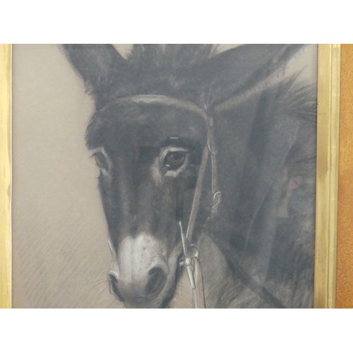 246 - Frank William Wilkin (British, 1791-1842), Head of a Donkey, charcoal and coloured chalks on grey pa... 