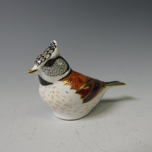 105 - A Royal Crown Derby Yellow Wagtail Paperweight, together with Fairy Wren, Black and White Kitten and... 