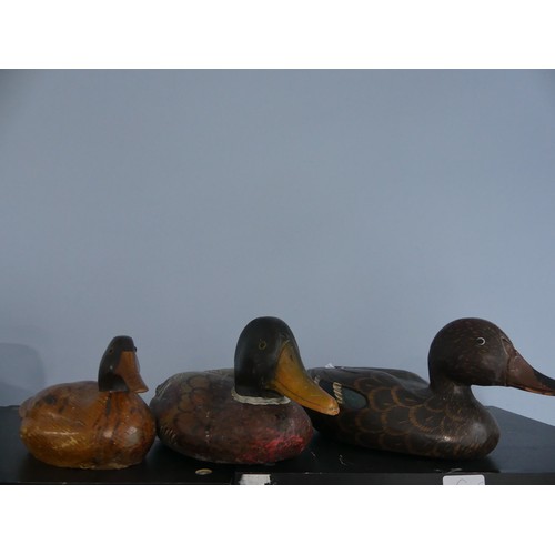 344 - A vintage carved and painted wooden Decoy Duck, modelled as a mallard, L 37cm, together with two oth... 