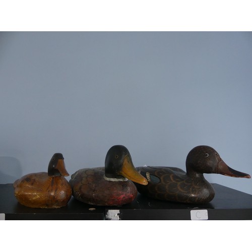 344 - A vintage carved and painted wooden Decoy Duck, modelled as a mallard, L 37cm, together with two oth... 