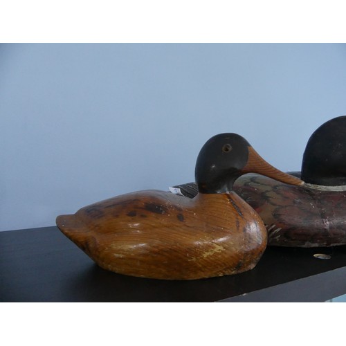 344 - A vintage carved and painted wooden Decoy Duck, modelled as a mallard, L 37cm, together with two oth... 