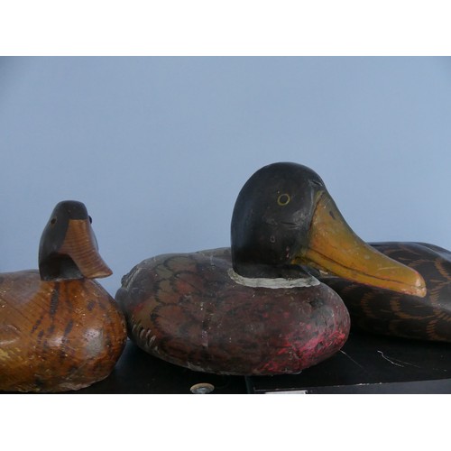 344 - A vintage carved and painted wooden Decoy Duck, modelled as a mallard, L 37cm, together with two oth... 