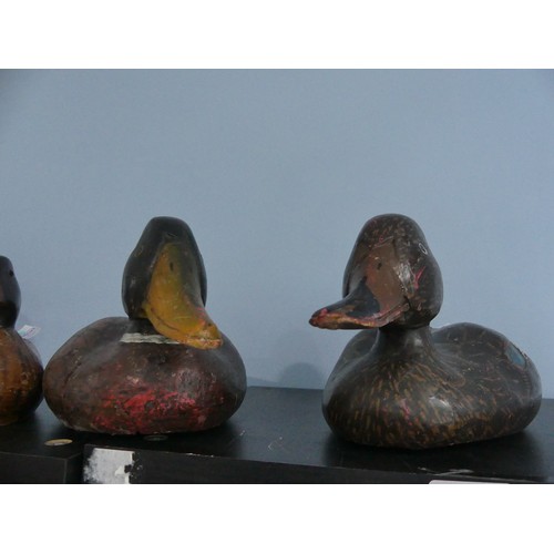 344 - A vintage carved and painted wooden Decoy Duck, modelled as a mallard, L 37cm, together with two oth... 