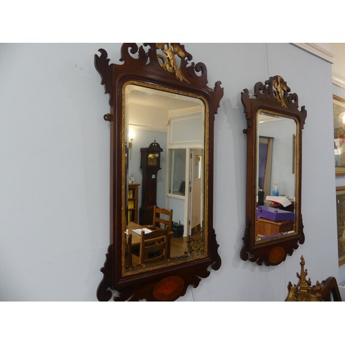 427 - A pair of Georgian style mahogany Fretwork Wall Mirrors, both have crests carved with a exotic bird ... 