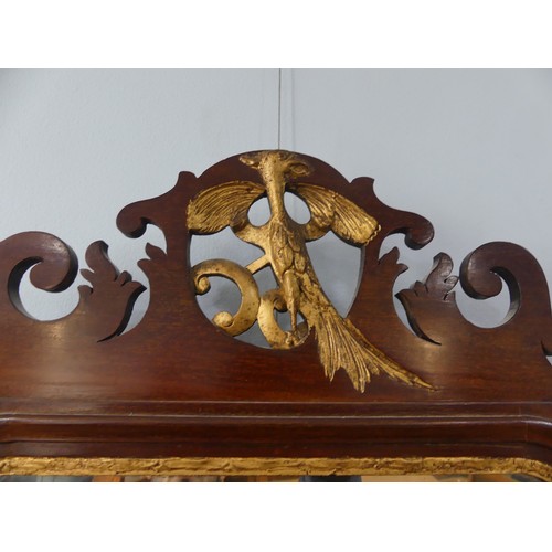 427 - A pair of Georgian style mahogany Fretwork Wall Mirrors, both have crests carved with a exotic bird ... 