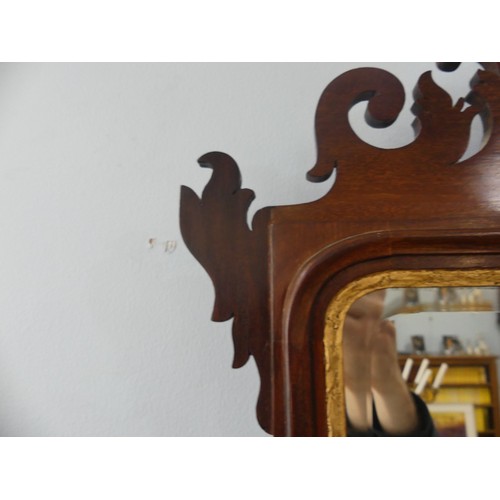 427 - A pair of Georgian style mahogany Fretwork Wall Mirrors, both have crests carved with a exotic bird ... 