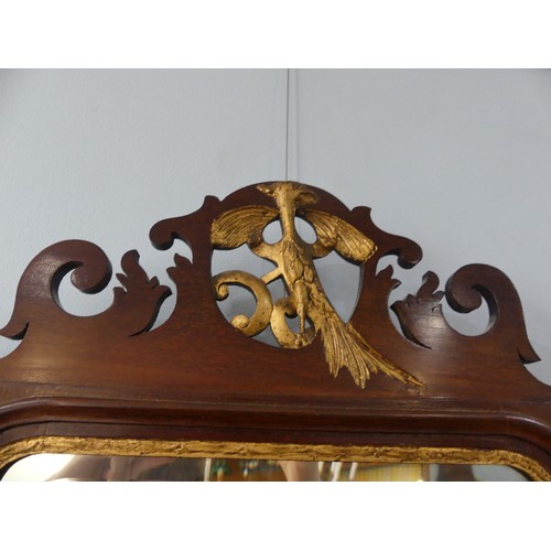 427 - A pair of Georgian style mahogany Fretwork Wall Mirrors, both have crests carved with a exotic bird ... 