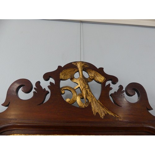 427 - A pair of Georgian style mahogany Fretwork Wall Mirrors, both have crests carved with a exotic bird ... 