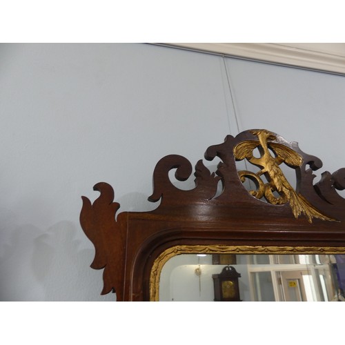 427 - A pair of Georgian style mahogany Fretwork Wall Mirrors, both have crests carved with a exotic bird ... 