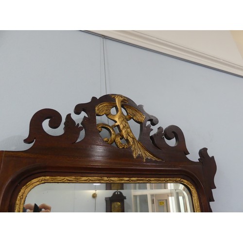 427 - A pair of Georgian style mahogany Fretwork Wall Mirrors, both have crests carved with a exotic bird ... 