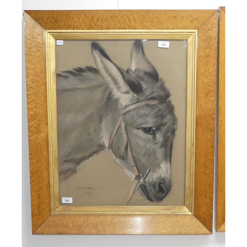 246 - Frank William Wilkin (British, 1791-1842), Head of a Donkey, charcoal and coloured chalks on grey pa... 