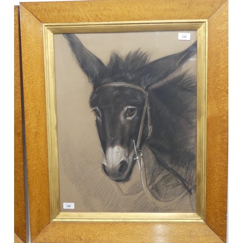 246 - Frank William Wilkin (British, 1791-1842), Head of a Donkey, charcoal and coloured chalks on grey pa... 