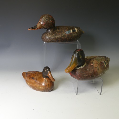 344 - A vintage carved and painted wooden Decoy Duck, modelled as a mallard, L 37cm, together with two oth... 