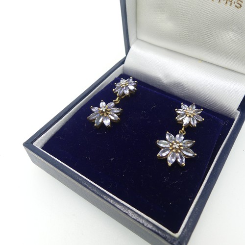 111 - A pair of tanzanite flowerhead Earrings, formed of two clusters, each with diamond point centres, al... 