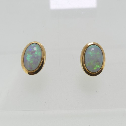 114 - A pair of opal Earrings, the oval stones approx. 11mm x 7mm collet set in unmarked yellow metal, tes... 