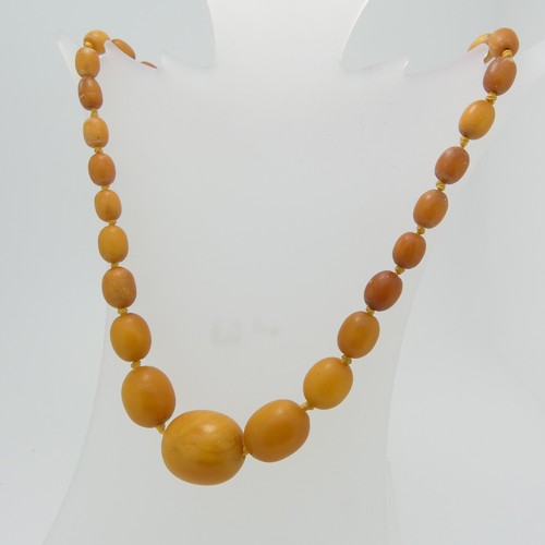 66 - A graduated row of butterscotch Amber Beads, individually knotted on yellow thread, bolt ring clasp,... 